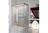 Shower cabin Novellini Nexis 1 rectangular with roof and rainfall 120x80x209 cm, right, white- sanitbuy.pl