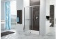 Door sliding Sanplast D2L(P)/FREEZONE 110x190 cm profil bahama beżowy, glass cora- sanitbuy.pl