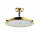 Overhead shower/ Shower head Hansgrohe Raindance Classic AIR Ø 240 mm wit ceiling mount - chrome/gold optyczny