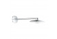 Overhead shower oval with arm concealed Grohe Rainshower 360 Duo white - sanitbuy.pl