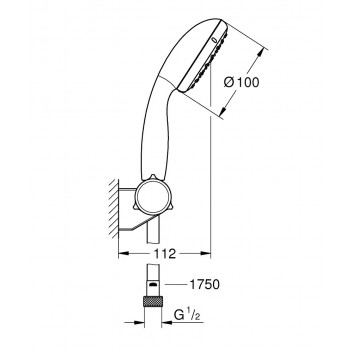Grohe New Tempesta 100 hand shower chrome 