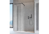 Panel for shower cabin Radaway Modo X Black III, przejrzysta, black profil, 550x2000mm