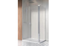 Door shower Radaway Nes KDS II 110, left, 1100x2000mm, silver profil