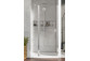 Door shower Radaway Nes KDS II 120, left, 1200x2000mm, silver profil