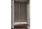 Door shower Radaway Nes KDS II 120, left, 1200x2000mm, silver profil