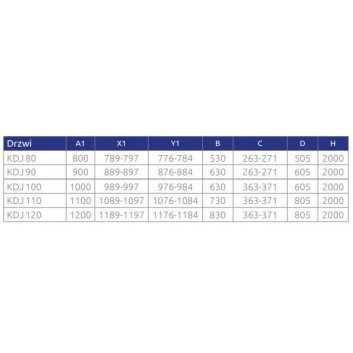 Part right cabins Radaway Essenza Pro Black PDD, 1000x2000mm, glass transparent, gold profil