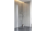 Door for shower cabin Radaway Nes 8 KDJ I 90, left, 900x2000mm, profil chrome