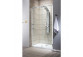 Door shower Radaway Nes KDS II 120, left, 1200x2000mm, silver profil