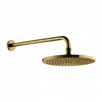 Overhead shower with arm Omnires gold
