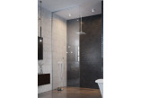 Shower cabin walk-in Radaway Nes Black Walk-in II Factory 120, universal, 120x200cm, glass transparent, profil black