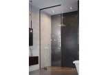 Shower cabin walk-in Radaway Nes Black Walk-in II Factory 120, universal, 120x200cm, glass transparent, profil black