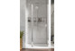 Door shower Radaway Nes KDS II 120, left, 1200x2000mm, silver profil