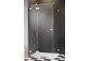 Part right cabins Radaway Essenza Pro Black PDD, 1000x2000mm, glass transparent, gold profil