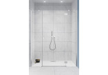 Door shower for recess installation Radaway Torrenta DWJ 120, right, swing, 120x195cm, glass transparent, profil chrome