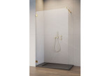 Door shower walk-in Radaway Essenza Pro 8 Gold, 50x200cm, glass transparent, profil gold