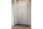 Door shower walk-in Radaway Essenza Pro 8 Gold, 55x200cm, glass transparent, profil gold