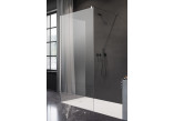 Shower cabin walk-in Radaway Modo New Black II with hanger, 160x200cm, glass transparent, profil black