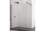 Panel walk-in Sanswiss Easy STR4P, 100x200cm, universal, glass transparent, profil black