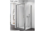 Door SanSwiss TOP-Line 1 hinged with fixed panel w linii 100cm