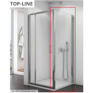 Door 1 hinged SanSwiss Top-Line (TED) with fixed panel w linii, 120x190cm, white profile, transparent glass