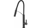 Deante kitchen faucet Gerbera, with pull-out spray, black