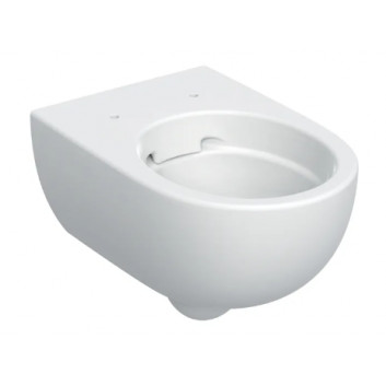 Geberit Selnova Hanging bowl WC, washdown model, B36cm, H33cm, T53cm, ukryte mocowania, Rimfree
