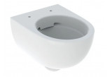 Geberit Selnova Compact Hanging bowl WC, washdown model, 35.5x49cm, short, ukryte mocowania, Rimfree