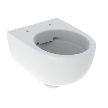 Geberit Selnova Hanging bowl WC, washdown model, B36cm, H33cm, T53cm, częściowo ukryte mocowania, Rimfree