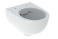 Geberit Selnova Hanging bowl WC, washdown model, B36cm, H33cm, T53cm, częściowo ukryte mocowania, Rimfree