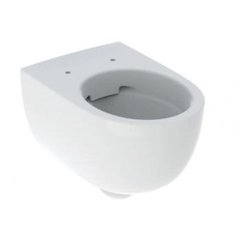 Geberit Selnova Compact Hanging bowl WC, washdown model, B35.5cm, H33cm, T49cm, short, ukryte mocowania, Rimfree