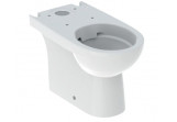 Geberit Selnova Standing bowl WC do spłuczki nasadzanej, washdown model, 35.5x66cm, częściowo ukryte mocowania, drain uniwersalny, Rimfree