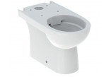 Geberit Selnova Standing bowl WC do spłuczki nasadzanej, washdown model, 35.5x66cm, częściowo ukryte mocowania, drain uniwersalny, Rimfree