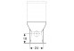 Geberit Selnova Standing bowl WC do spłuczki nasadzanej, washdown model, B35.5cm, H40cm, T66cm, częściowo ukryte mocowania, drain uniwersalny, Rimfree