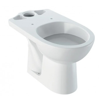 Geberit Selnova Standing bowl WC do spłuczki nasadzanej, washdown model, B36cm, H39cm, T67cm, drain poziomy