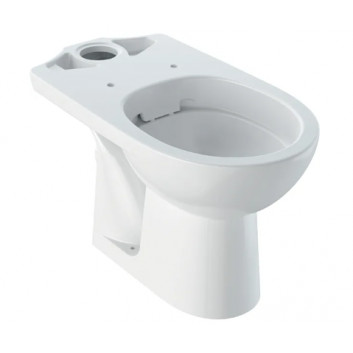 Geberit Selnova Standing bowl WC do spłuczki nasadzanej, washdown model, B36cm, H39cm, T67cm, drain poziomy