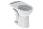 Geberit Selnova Comfort Standing bowl WC do spłuczki nasadzanej, washdown model, 35.5x65.5cm, podwyższona, drain poziomy, Rimfree