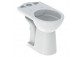 Geberit Selnova Standing bowl WC do spłuczki nasadzanej, washdown model, B35.6cm, H39cm, T66.5cm, drain poziomy, Rimfree