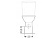 Geberit Selnova Standing bowl WC do spłuczki nasadzanej, washdown model, B35.6cm, H39cm, T66.5cm, drain poziomy, Rimfree