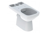 Geberit Selnova Standing bowl WC do spłuczki nasadzanej, washdown model, B36cm, H39cm, T67cm, drain pionowy