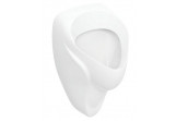 Geberit Alex Urinal, 38x35cm, back inlet, drain do tyłu