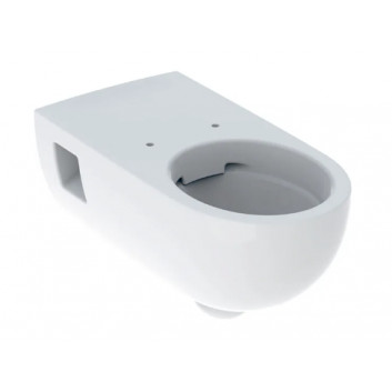Geberit Selnova Comfort Hanging bowl WC, washdown model, B35.5cm, H34.5cm, T70cm, długa, częściowo ukryte mocowania, Rimfree