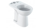 Geberit Selnova Comfort Standing bowl WC do spłuczki nasadzanej, washdown model, 36x46x67cm, podwyższona, drain poziomy