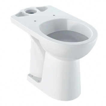 Geberit Selnova Comfort Standing bowl WC do spłuczki nasadzanej, washdown model, 36x46x67cm, podwyższona, drain poziomy