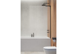 Door shower Radaway Nes KDS II 120, left, 1200x2000mm, silver profil