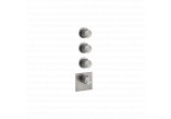 Thermostatic shower mixer, wall mounted, Gessi Gessi316 Wellness - 239 Brushed steel 