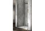Hinged door 1 hinged with fixed element w linii, SanSwiss Cadura - Silver shine
