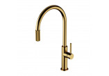 Kitchen faucet with set filtrującym, Omnires Switch - Gold