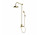 Shower system wall mounted, Omnires Armance - Brushed brass