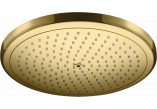Shower head 280 1jet EcoSmart, Hansgrohe Croma - Gold Optyczny Polerowany