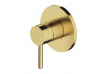 Shower mixer concealed, Omnires Y - Brushed brass